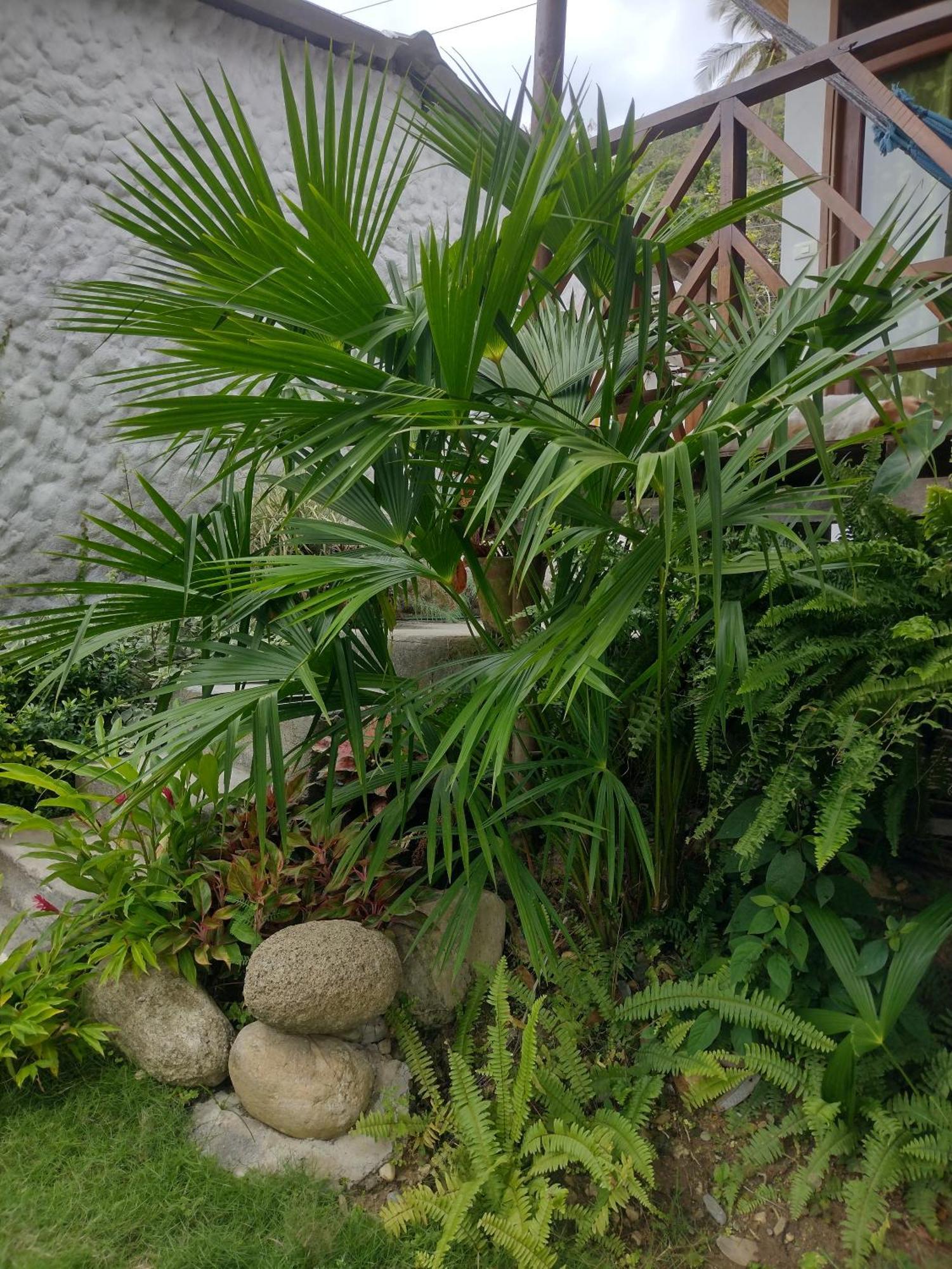 Casa Kumake Tayrona Villa El Zaino Bagian luar foto